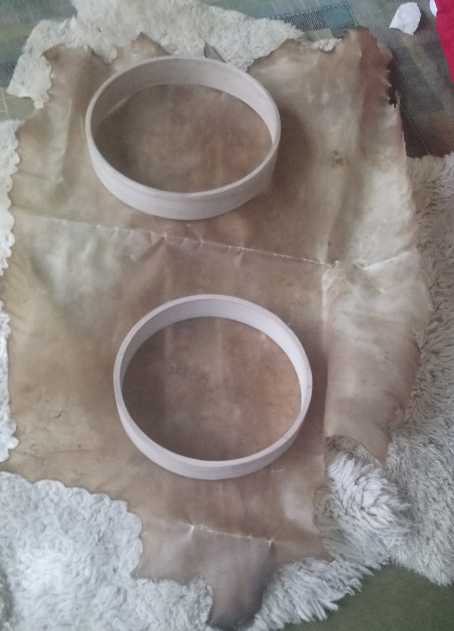 Deer/Stag Hide for drum/rattle making - Image 3