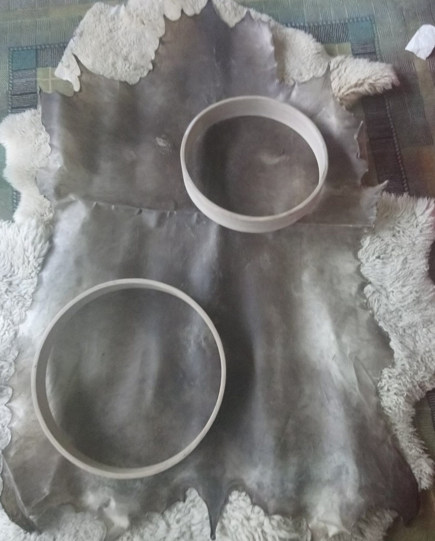 Deer/Stag Hide for drum/rattle making - Image 2