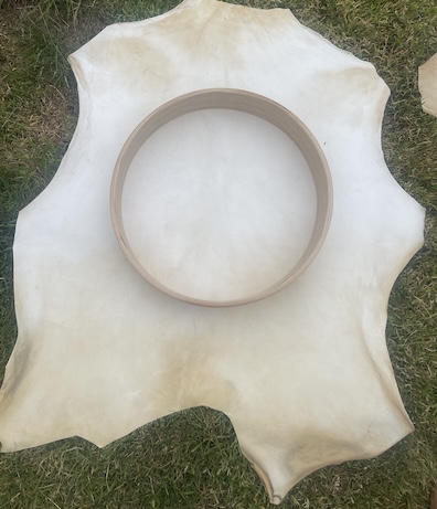 Deer/Stag Hide for drum/rattle making - Image 5