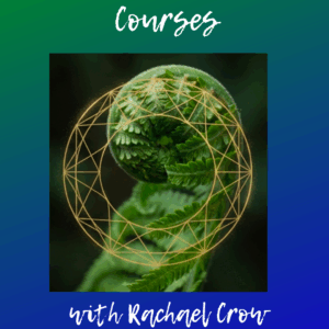 5. Courses