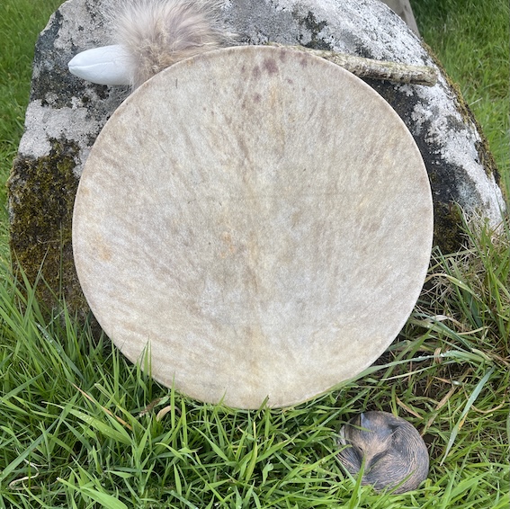Derwen Aur- 14" Stag and Oak Drum